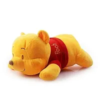 SPIRITUAL HOUSE Cute Fluffy Winnie Pooh Teddy Bear Stuffed Soft Toy for Gifting Loved Once on Occasion Like Valentine Birthday Rakhi Diwali.-thumb4