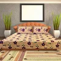 The Dream Weavers Microfiber 144 TC Queen Size Bedsheet with 2 Pillow Covers 220 cm x 244 cm, (Beige)-thumb1