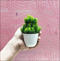 DUCTOR Natural Looking Bonsai Artificial Green Small Plant with Pot Pack of 4 . Best Design for Home, Office, Living Room Decoration . H~15cm ( 6 INCH )-thumb3