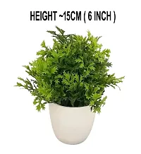 DUCTOR Natural Looking Bonsai Artificial Green Small Plant with Pot Pack of 3 . Best Design for Home,Office Decoration . H~15cm ( 6 INCH )-thumb1