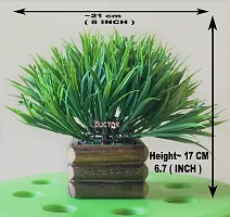 DUCTOR Natural Looking Wild Bonsai Artificial Green Plant with Wooden Pot . Best Design for Home,Office,Living Room,Table top Decoration . H~17cm ( 6.7 INCH )-thumb1