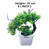 DUCTOR Natural Looking Artificial Plant with Pot with Bird. Best Design for Home,Office Decoration and Gift Item.H~21cm-thumb2