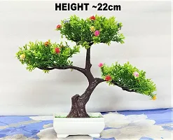 DUCTOR Natural Looking Wild Bonsai Artificial Green Tree Plant with Pot . Best Design for Home,Office,Living Room,Table top Decoration . H~22cm ( 8.5 INCH )-thumb1