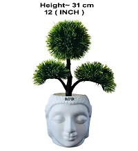 DUCTOR Natural Looking Bonsai Artificial Plant with Budha Pot . Best Design for Home,Office,Living Room Decoration and Gift Item . H~31cm-thumb2