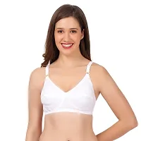 FLOMI Women Full Coverage Non Padded Wirefree Cotton T Shirt Bra 2 Pack Combo (36B, White)-thumb4