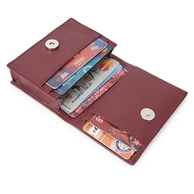 Trendy Classic World Card Holder For Atm id Cards Visiting Cards Credit