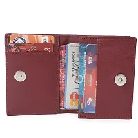 Trendy Classic World Card Holder For Atm id Cards Visiting Cards Credit-thumb2