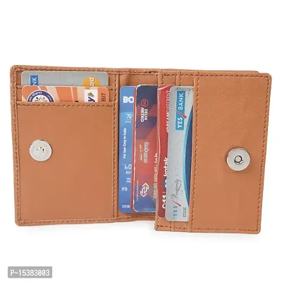 Trendy Classic World Card Holder For Atm id Cards Visiting Cards Credit-thumb4