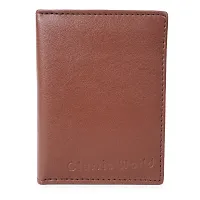 Trendy Classic World Card Holder For Atm id Cards Visiting Cards Credit-thumb2