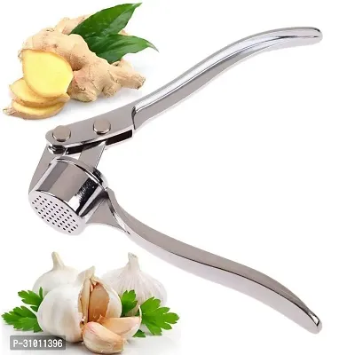 Stainless Steel Garlic Press Squeezer