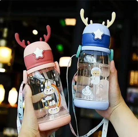 Fancy Water Bottles 