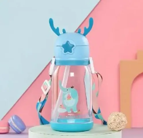 Fancy Water Bottles 