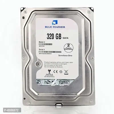 320GB BFDT32S Blue Feather Hard Drive-thumb0