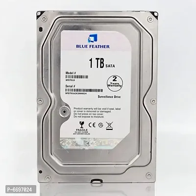 1TB BFDT01S Blue Feather Hard Drive-thumb0