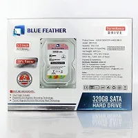 320GB BFDT32S Blue Feather Hard Drive-thumb1