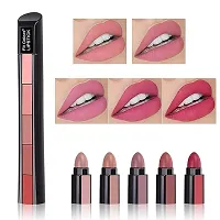 Combo of 2 Fabulous Matte Shades 5 Lipstick in 1 (Pack of 2)-thumb1