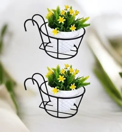 Trendy Plant & Planters 