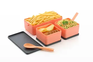 Sealed Leakage Proof Delicious Lunch Box-thumb2