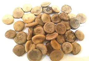 Kapebonavista? Kuchla Seeds Nux Vomica Seed Strychnos Nuxvomica 150gm-thumb1