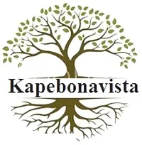 Kapebonavista? Keshwas Rosemary Rusmari Rusmari Rosmarinus Officinalis Thyme Living Plant in Poly Bag-thumb2