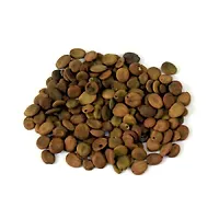 Kapebonavista? Siris Seed Siras Seed Albizia lebbeck Seed Siras Beej 100gm-thumb1