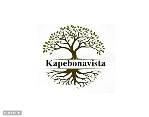 Kapebonavista? Siris Seed Siras Seed Albizia lebbeck Seed Siras Beej 100gm-thumb3