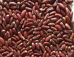 Kapebonavista? Kanchan Beej Kanchan Seed champak Michelia Champaca 100g-thumb1