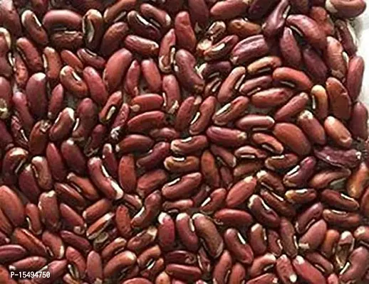 Kapebonavista? Kanchan Beej Kanchan Seed champak Michelia Champaca 100g-thumb2