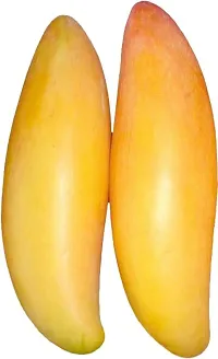 The Entacloo Mango Plant Thai Banana Variety Grafted Fruit Live PlantsTree(1.52 Ft Size)-thumb2