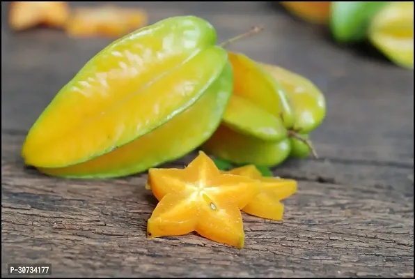 The Entacloo Star Fruit Carambola Grafted Plant LF618