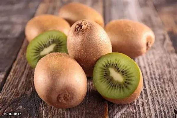 The Entacloo Kiwi Plant Kiwi fruit plant Ki72-thumb0