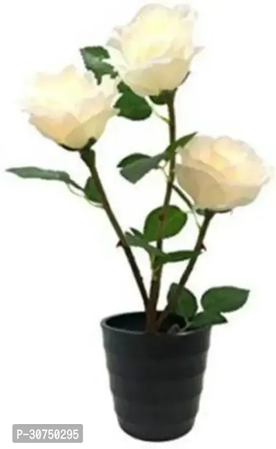 The Entacloo Rose Plant WHITE ROSE WITH POT-thumb0