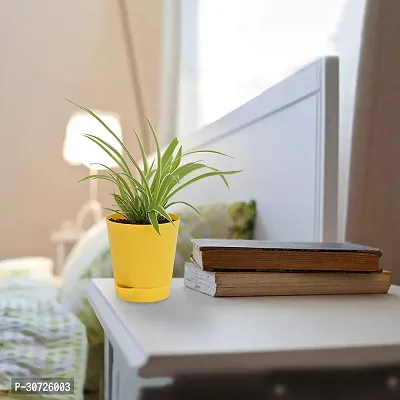 The Entacloo Spider Plant SPIDER PLANT WITH SELF WATERING POT-thumb3