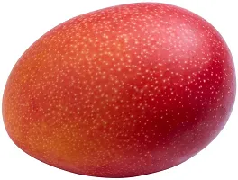 The Entacloo Mango Plant Japanese Variant Miyazaki Mango Live Pant also known as Egg of Sun.-thumb2