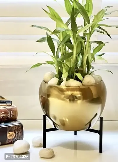 Flower pot with stamd
