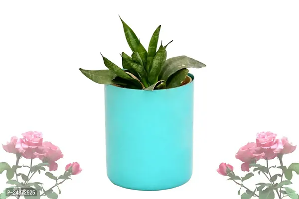 Flower pot