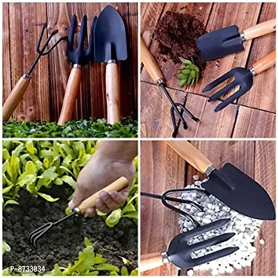 Gardening Tools kit Hand Cultivator, Small Trowel, Garden Fork (Set of 3)-thumb3