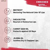 Anthom Beetroot Lip Balm with Natural Beetroot Extract, Shea Butter  Jojoba Oil | For Dry, Damaged  Chapped Lips-thumb3