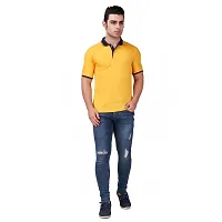 Fidato Mens Half Sleeves Polo T-shirt-thumb4