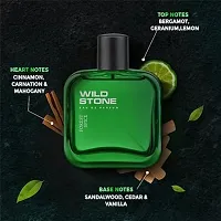 Wild Stone Forest Spice Spray Perfume - 100ml-thumb2