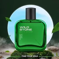 Wild Stone Forest Spice Spray Perfume - 100ml-thumb4