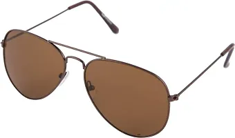 Poloshades Sunglasses for unisex |Brown lens |Brown frame-thumb4