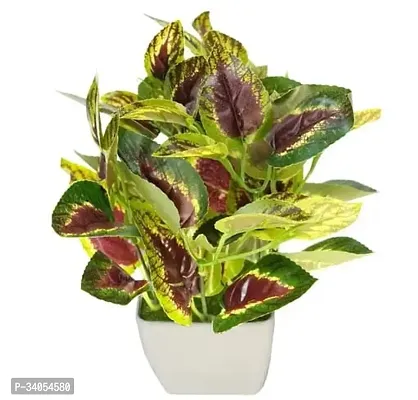 Wonderful Artificial Plant with a Natural Looks in Pot for Table top in Home  Office Decoration