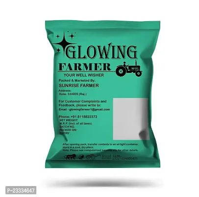 GLOWING FARMER 500g Premium Whole Coriander Seeds| Sabut Dhania / Dhaniya-thumb3