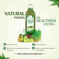 Axiom  Wheatgrass Giloye Stem Juice-1000Ml  (Pack Of 2)-thumb2