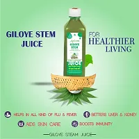 Axiom  Giloye Juice -500Ml  (Pack Of 2)-thumb2