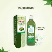 Axiom  Apamarg Panchang Juice-500Ml  (Pack Of 2)-thumb1