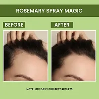 Organic Rosemary Water Mist Spray Toner For Hair Growth 100ML-thumb1