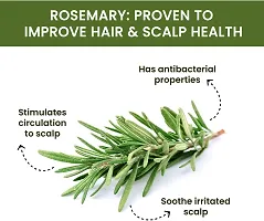 Organic Rosemary Water Mist Spray Toner For Hair Growth 100ML-thumb2