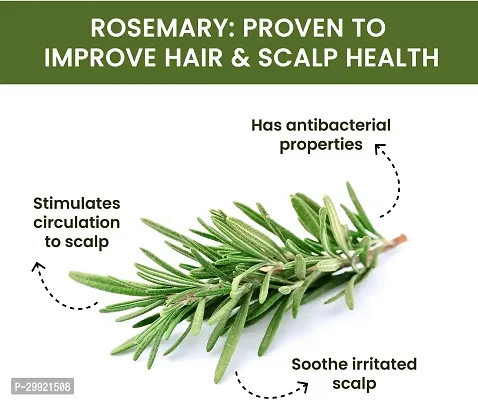 Organic Rosemary Water Mist Spray Toner For Hair Growth 100ML-thumb3